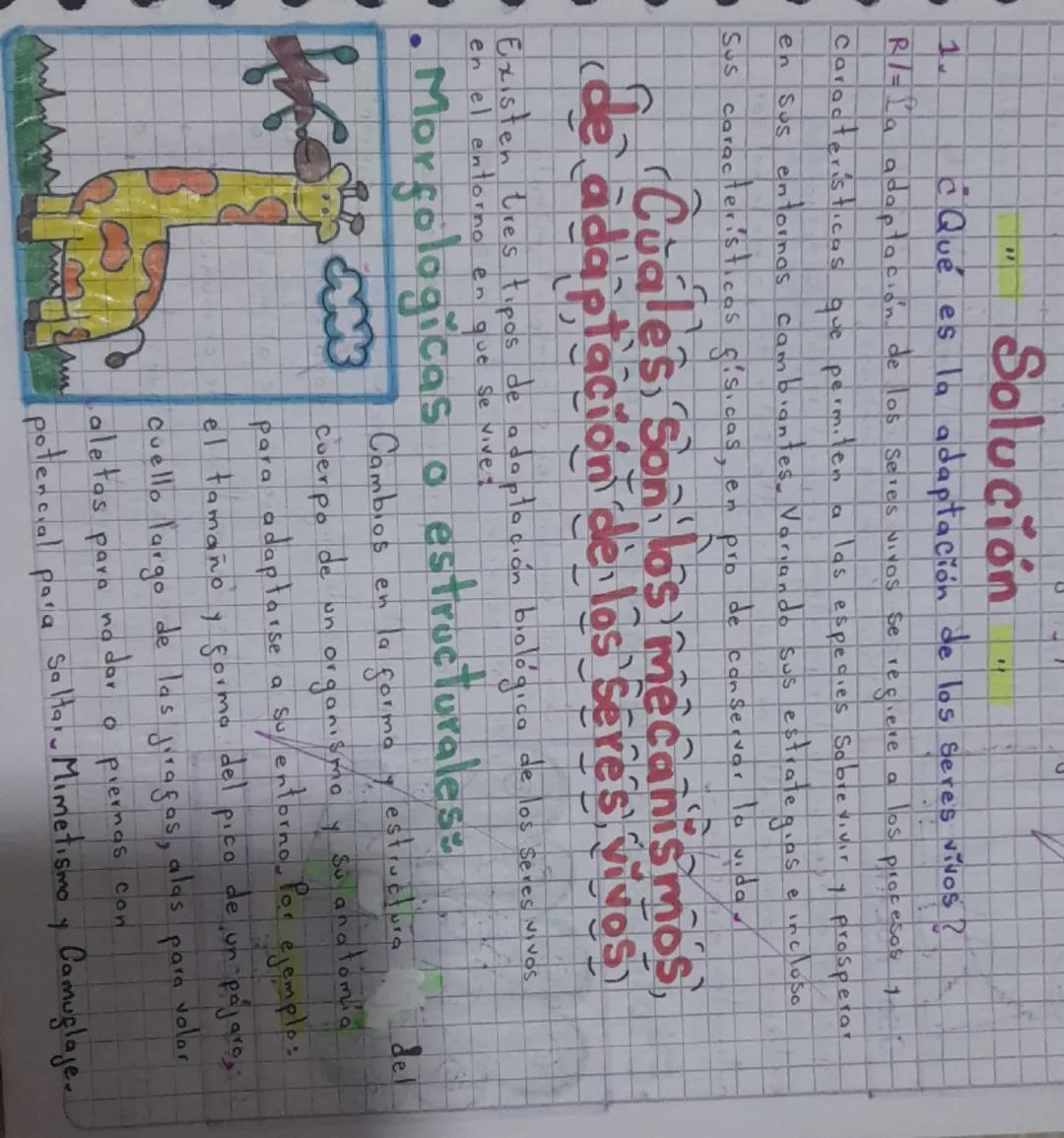 T
D
1.
Solucion
"
CQué es la adaptación de los seres vivos?
R/= La adaptación de los seres vivos se regiere
Caracteristicas
en
que permiten
