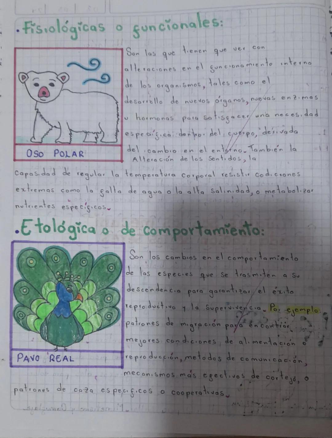 T
D
1.
Solucion
"
CQué es la adaptación de los seres vivos?
R/= La adaptación de los seres vivos se regiere
Caracteristicas
en
que permiten
