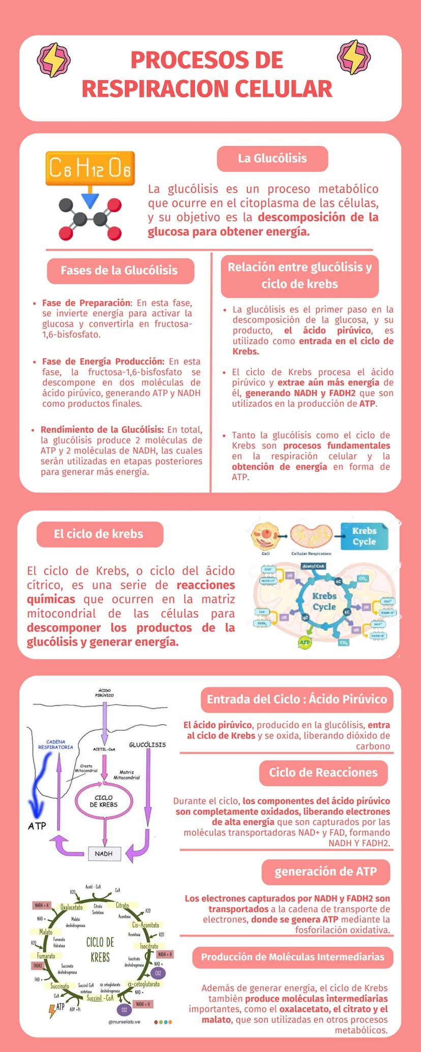 PROCESOS DE
RESPIRACION CELULAR
C6H12O6
La Glucólisis
La glucólisis es un proceso metabólico
que ocurre en el citoplasma de las células,
y s