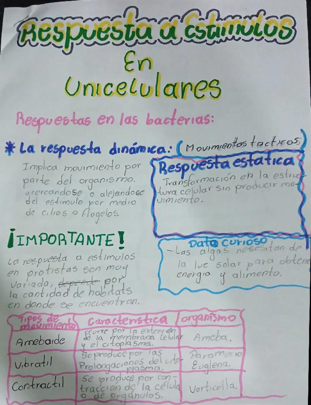 Respuesta a estímulos
En
Unicelulares
Respuestas en las bacterias:
* La respuesta dinámica: (Movimientos táctiles)
Implica movimiento por pa