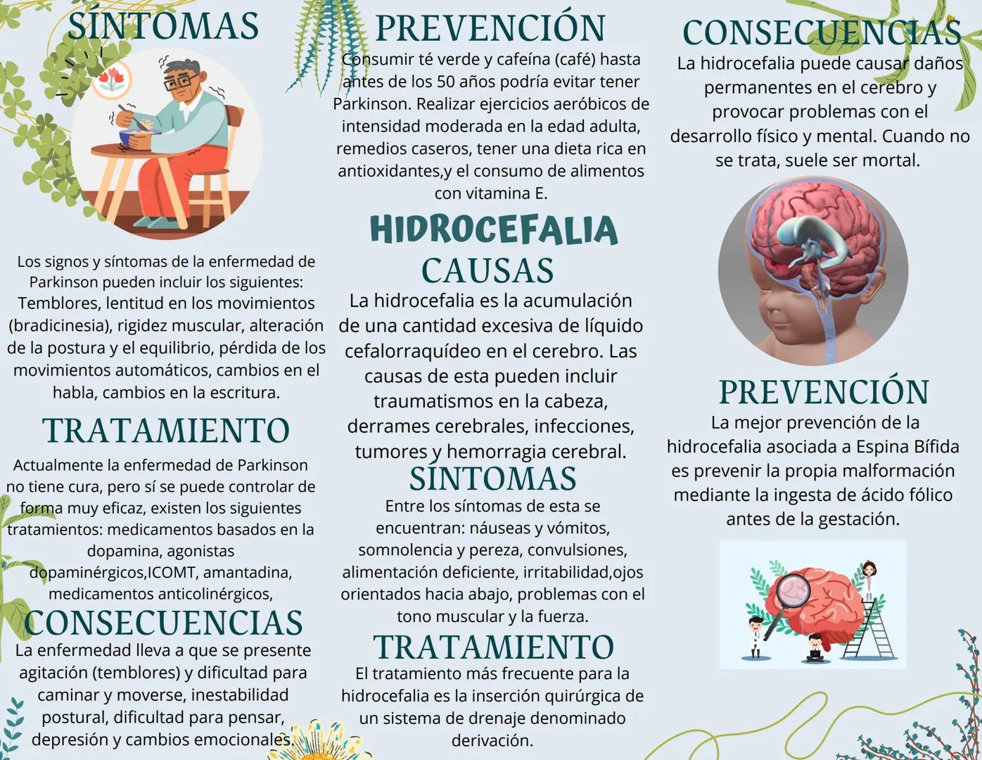 PREVENCIÓN
Puede tomar medidas como:
alimentarse bien, no fumar, prevenga
enfermedades antes de que comiencen,
reduzca las probabilidades de