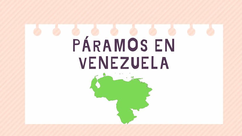ÍNDICE
1. Introducción
2. ¿Qué es un páramo ?
3. El deterioro de los páramos
4. ¿Cómo podemos proteger los páramos?
5. Conclusión INTRODUCCI