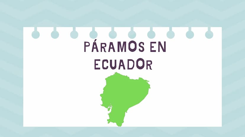 ÍNDICE
1. Introducción
2. ¿Qué es un páramo ?
3. El deterioro de los páramos
4. ¿Cómo podemos proteger los páramos?
5. Conclusión INTRODUCCI