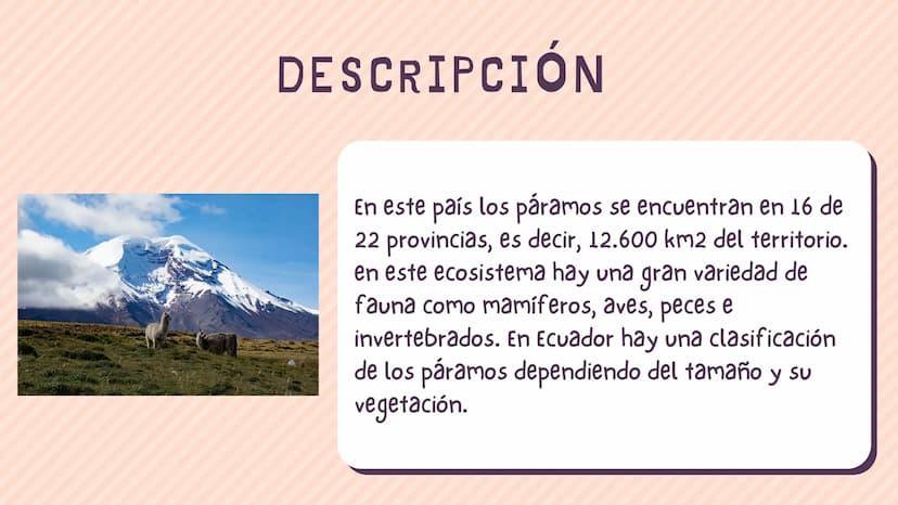 ÍNDICE
1. Introducción
2. ¿Qué es un páramo ?
3. El deterioro de los páramos
4. ¿Cómo podemos proteger los páramos?
5. Conclusión INTRODUCCI