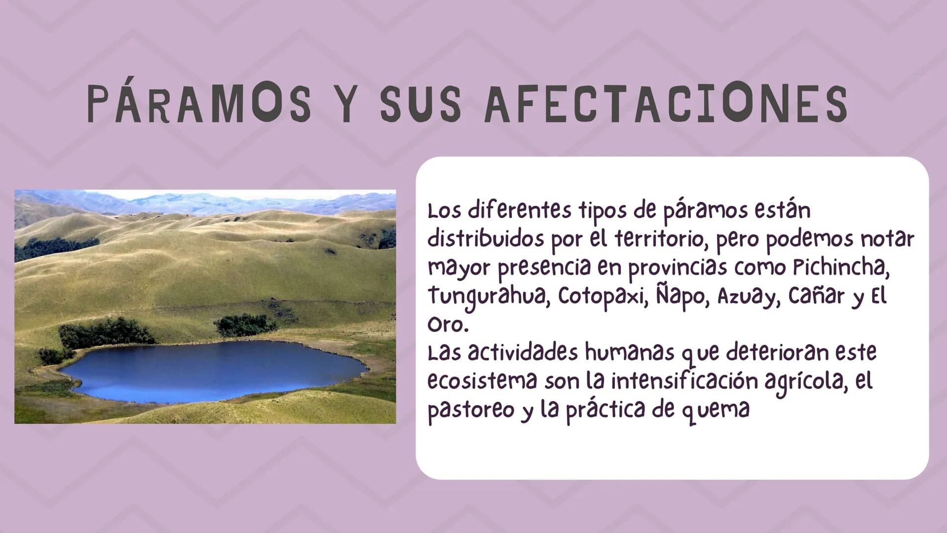 ÍNDICE
1. Introducción
2. ¿Qué es un páramo ?
3. El deterioro de los páramos
4. ¿Cómo podemos proteger los páramos?
5. Conclusión INTRODUCCI