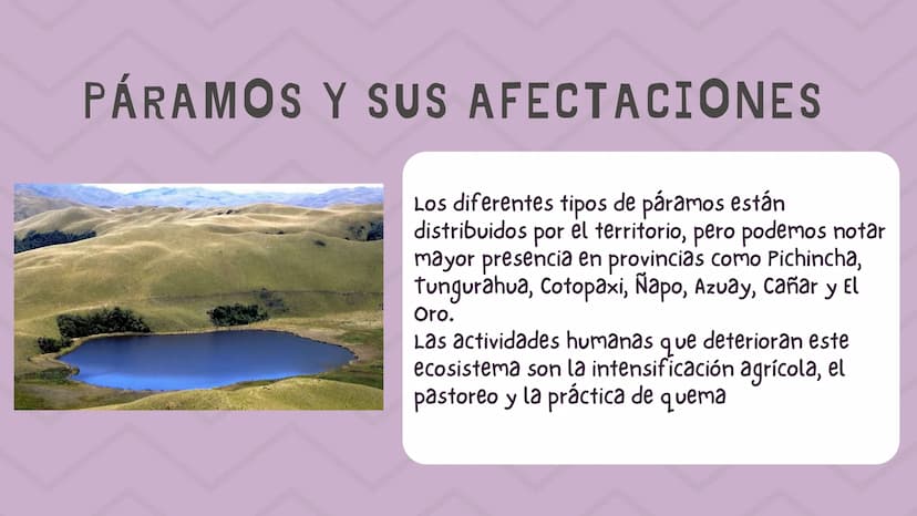 ÍNDICE
1. Introducción
2. ¿Qué es un páramo ?
3. El deterioro de los páramos
4. ¿Cómo podemos proteger los páramos?
5. Conclusión INTRODUCCI