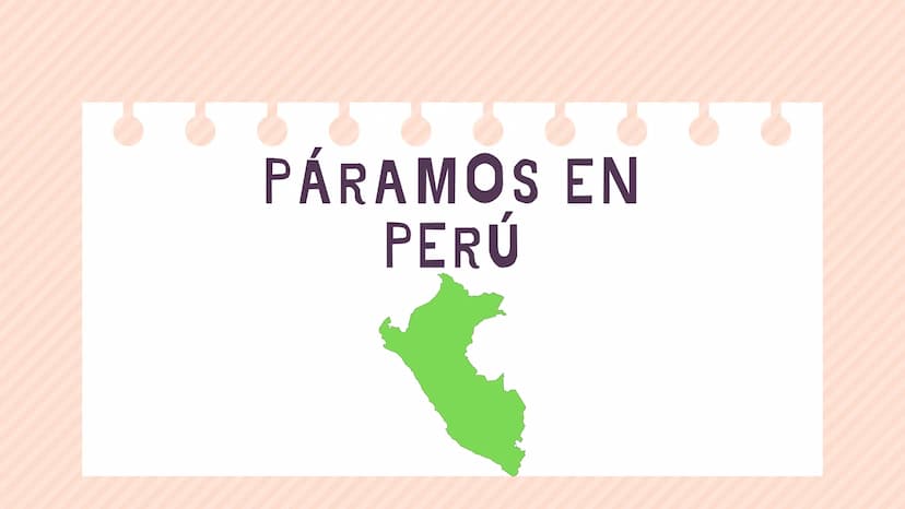 ÍNDICE
1. Introducción
2. ¿Qué es un páramo ?
3. El deterioro de los páramos
4. ¿Cómo podemos proteger los páramos?
5. Conclusión INTRODUCCI