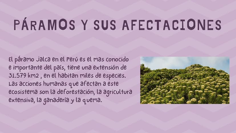 ÍNDICE
1. Introducción
2. ¿Qué es un páramo ?
3. El deterioro de los páramos
4. ¿Cómo podemos proteger los páramos?
5. Conclusión INTRODUCCI