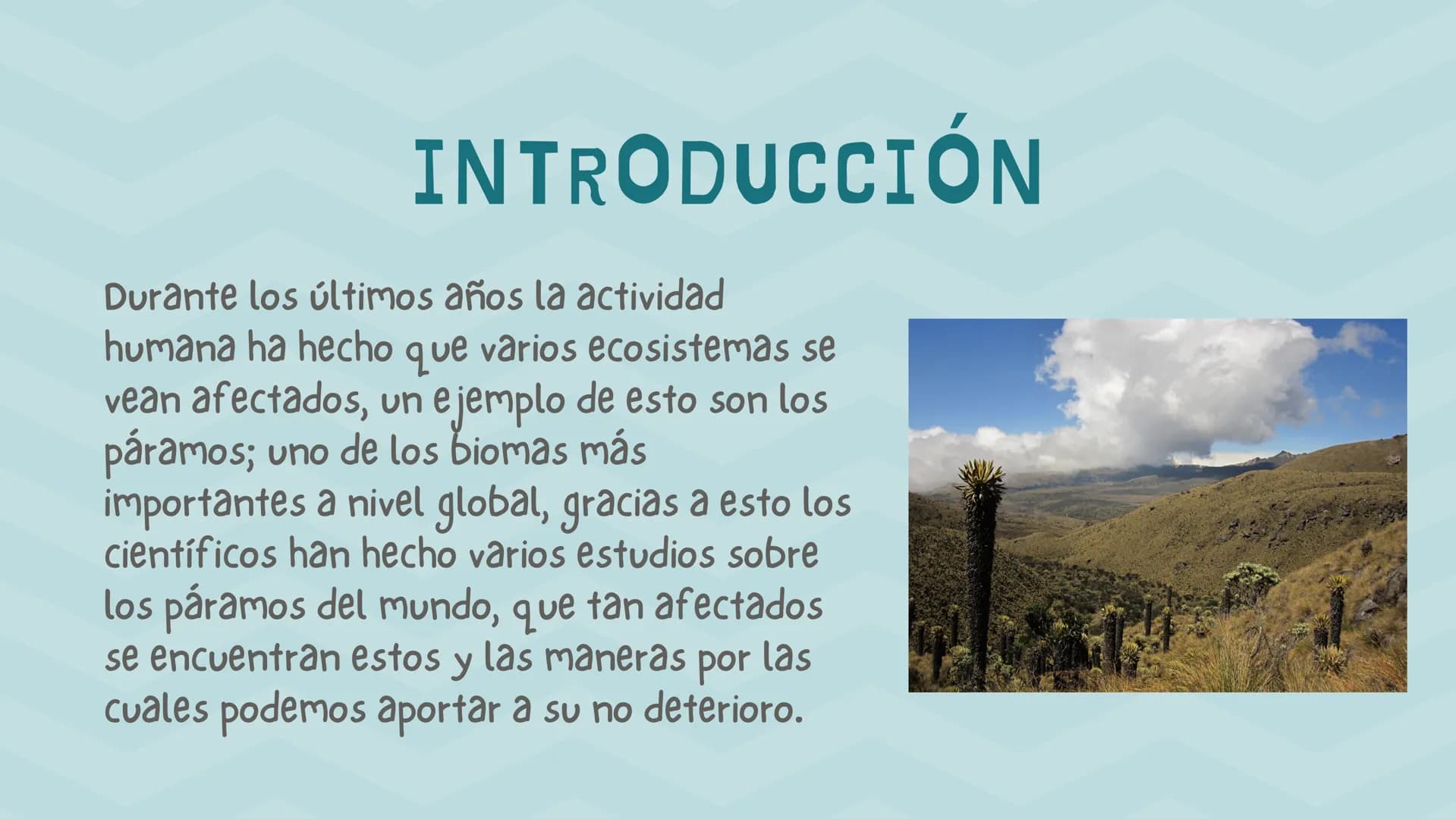 ÍNDICE
1. Introducción
2. ¿Qué es un páramo ?
3. El deterioro de los páramos
4. ¿Cómo podemos proteger los páramos?
5. Conclusión INTRODUCCI