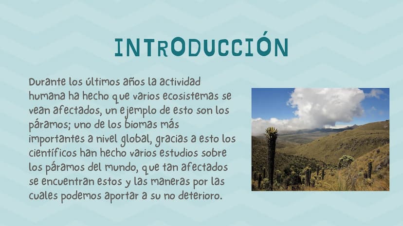 ÍNDICE
1. Introducción
2. ¿Qué es un páramo ?
3. El deterioro de los páramos
4. ¿Cómo podemos proteger los páramos?
5. Conclusión INTRODUCCI