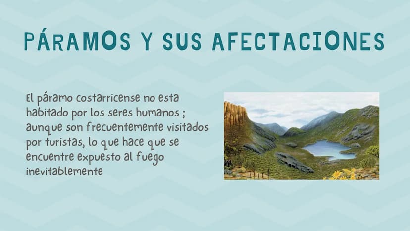 ÍNDICE
1. Introducción
2. ¿Qué es un páramo ?
3. El deterioro de los páramos
4. ¿Cómo podemos proteger los páramos?
5. Conclusión INTRODUCCI