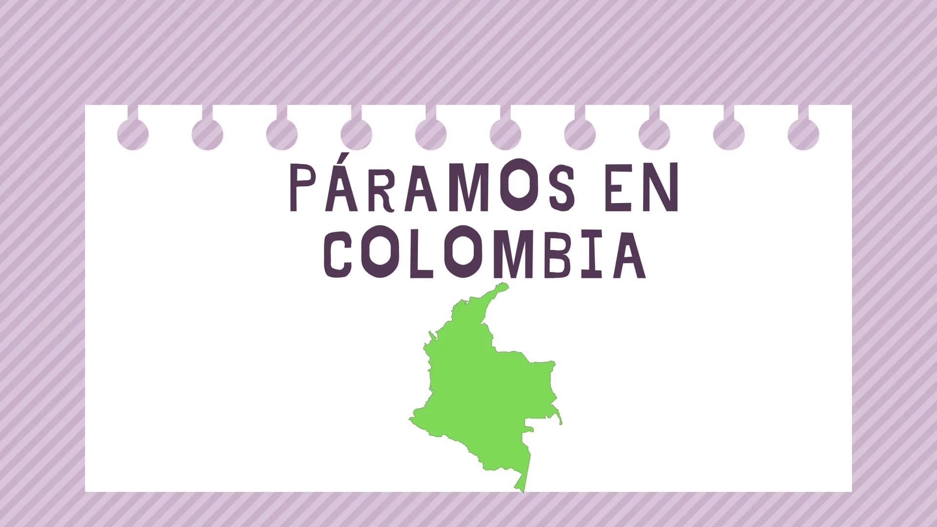 ÍNDICE
1. Introducción
2. ¿Qué es un páramo ?
3. El deterioro de los páramos
4. ¿Cómo podemos proteger los páramos?
5. Conclusión INTRODUCCI