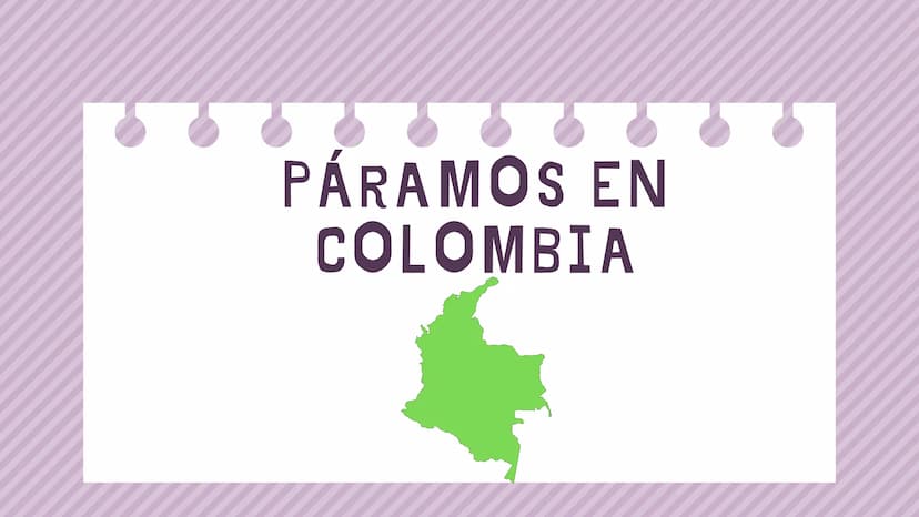 ÍNDICE
1. Introducción
2. ¿Qué es un páramo ?
3. El deterioro de los páramos
4. ¿Cómo podemos proteger los páramos?
5. Conclusión INTRODUCCI