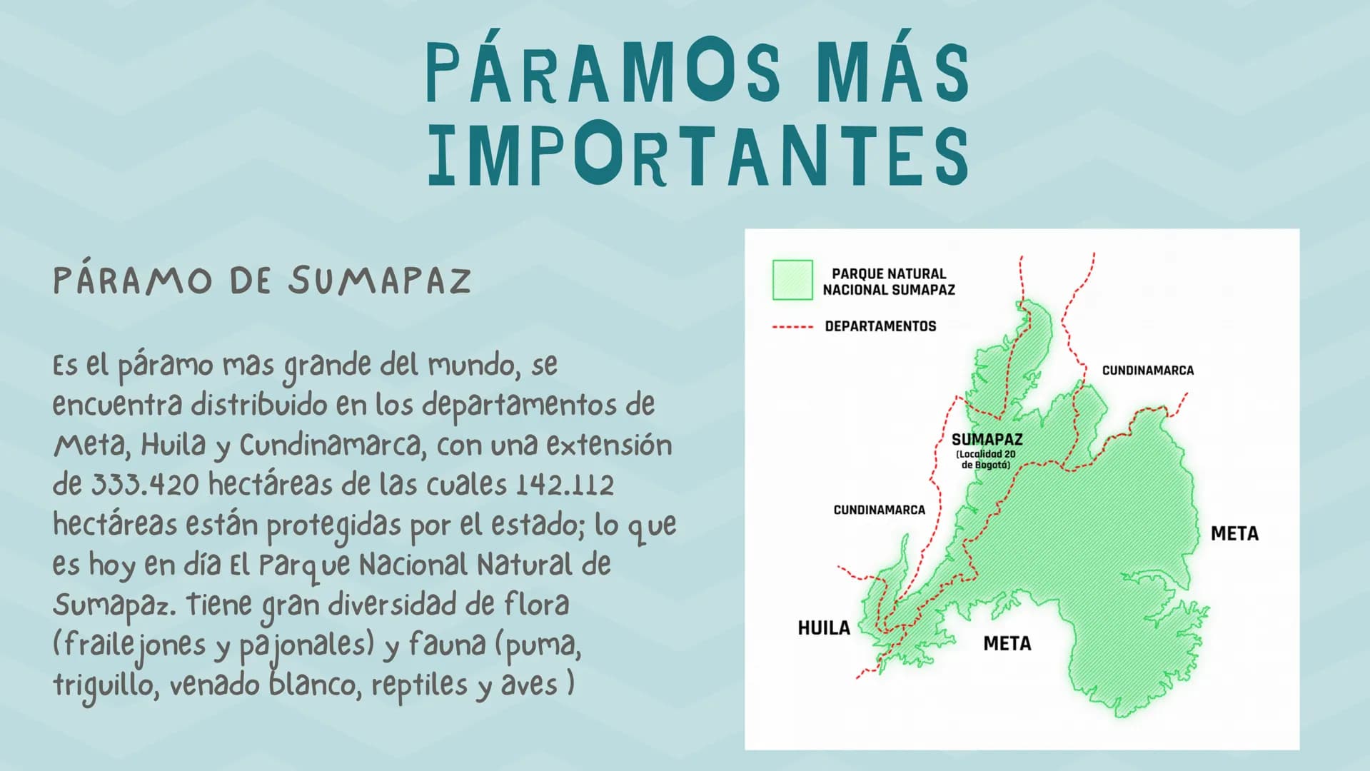 ÍNDICE
1. Introducción
2. ¿Qué es un páramo ?
3. El deterioro de los páramos
4. ¿Cómo podemos proteger los páramos?
5. Conclusión INTRODUCCI