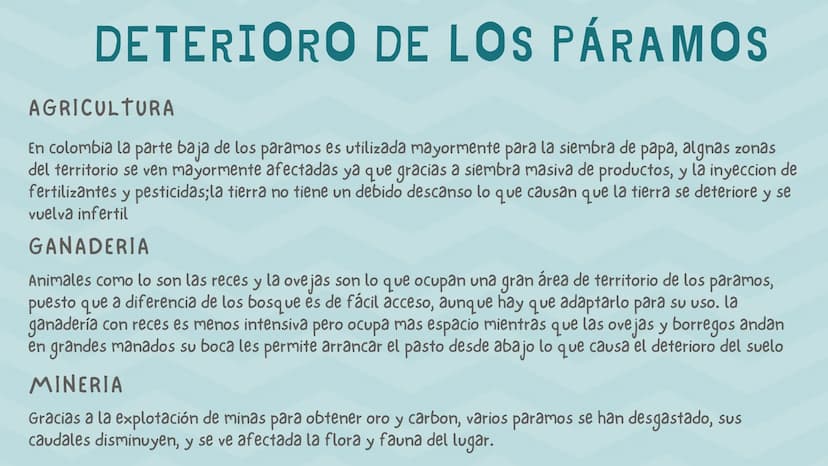 ÍNDICE
1. Introducción
2. ¿Qué es un páramo ?
3. El deterioro de los páramos
4. ¿Cómo podemos proteger los páramos?
5. Conclusión INTRODUCCI