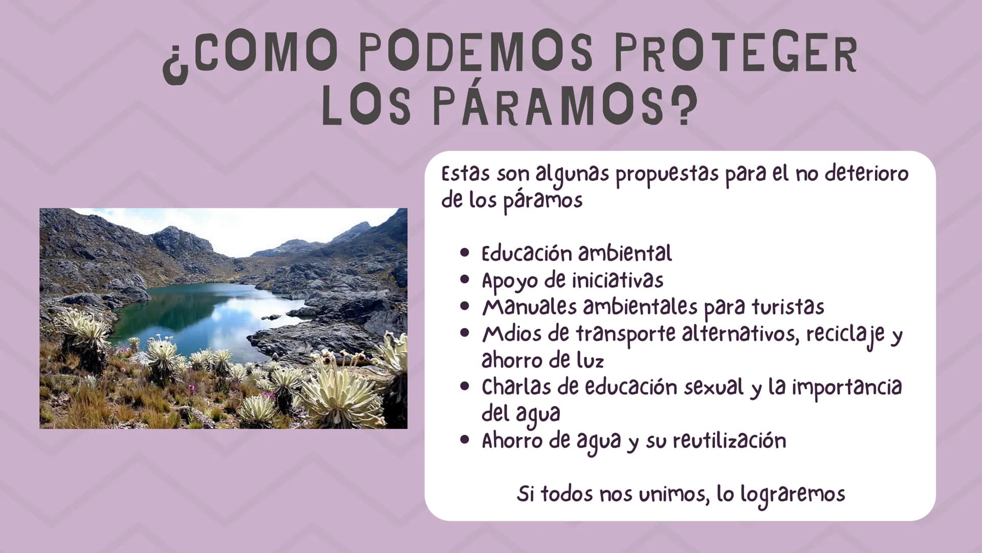 ÍNDICE
1. Introducción
2. ¿Qué es un páramo ?
3. El deterioro de los páramos
4. ¿Cómo podemos proteger los páramos?
5. Conclusión INTRODUCCI