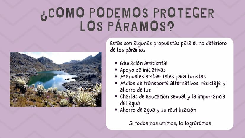 ÍNDICE
1. Introducción
2. ¿Qué es un páramo ?
3. El deterioro de los páramos
4. ¿Cómo podemos proteger los páramos?
5. Conclusión INTRODUCCI