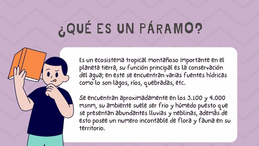 ÍNDICE
1. Introducción
2. ¿Qué es un páramo ?
3. El deterioro de los páramos
4. ¿Cómo podemos proteger los páramos?
5. Conclusión INTRODUCCI