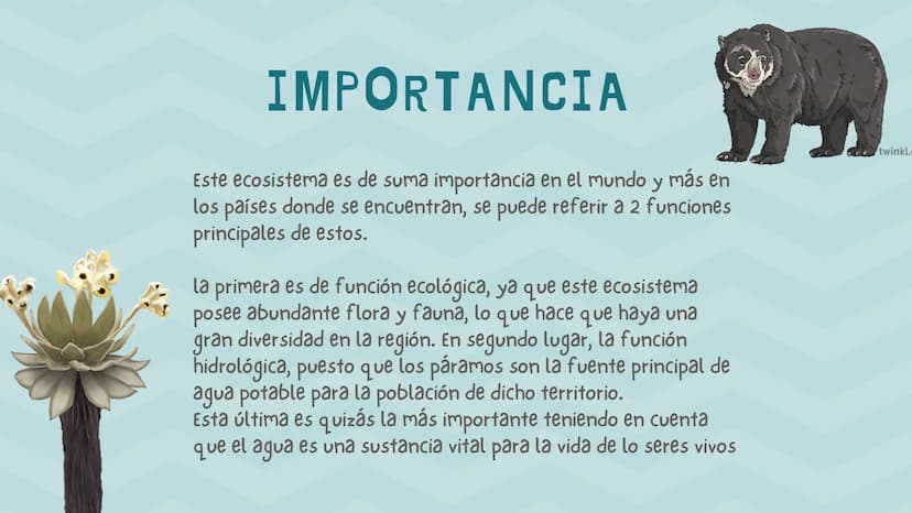 ÍNDICE
1. Introducción
2. ¿Qué es un páramo ?
3. El deterioro de los páramos
4. ¿Cómo podemos proteger los páramos?
5. Conclusión INTRODUCCI