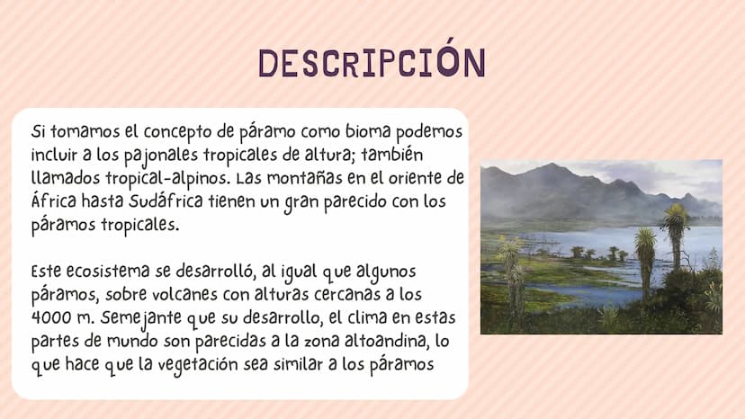 ÍNDICE
1. Introducción
2. ¿Qué es un páramo ?
3. El deterioro de los páramos
4. ¿Cómo podemos proteger los páramos?
5. Conclusión INTRODUCCI