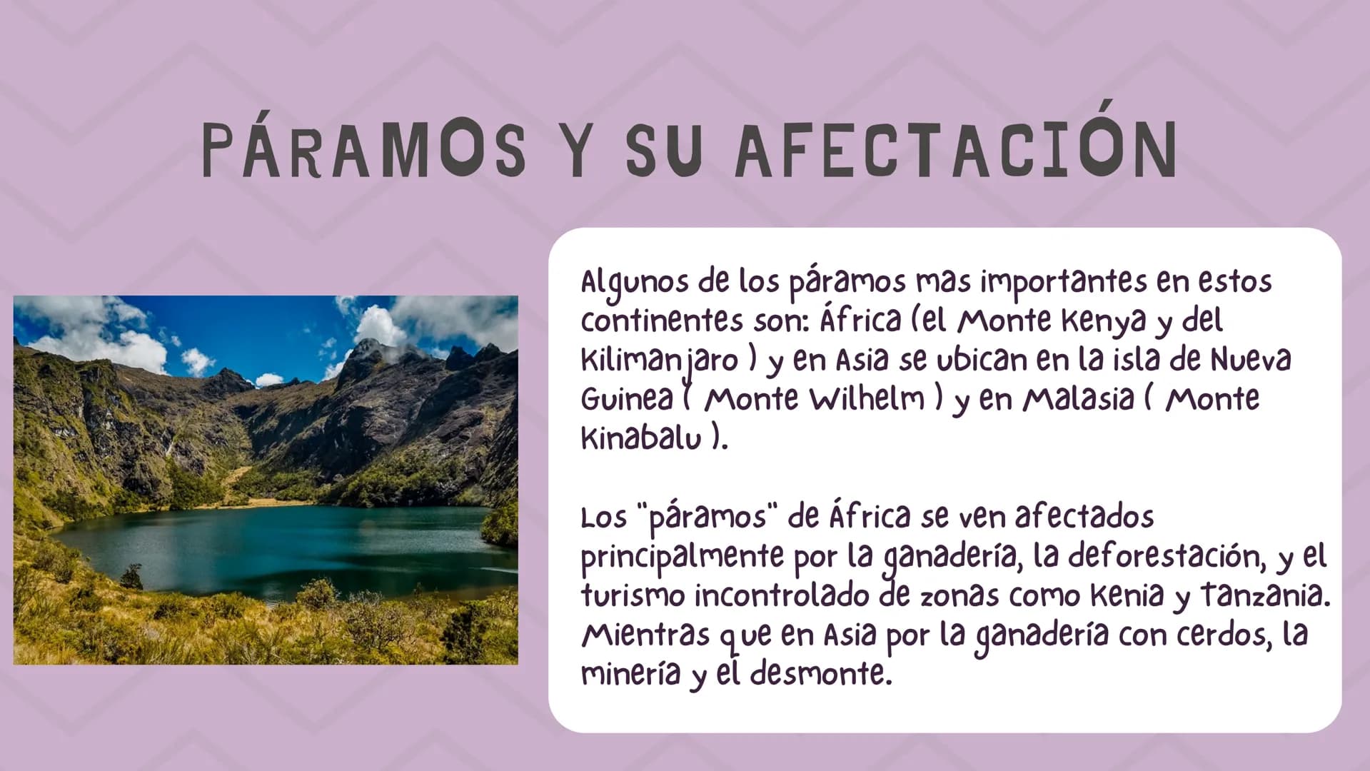 ÍNDICE
1. Introducción
2. ¿Qué es un páramo ?
3. El deterioro de los páramos
4. ¿Cómo podemos proteger los páramos?
5. Conclusión INTRODUCCI