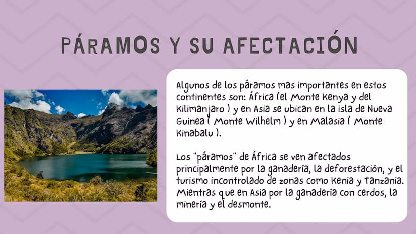 ÍNDICE
1. Introducción
2. ¿Qué es un páramo ?
3. El deterioro de los páramos
4. ¿Cómo podemos proteger los páramos?
5. Conclusión INTRODUCCI