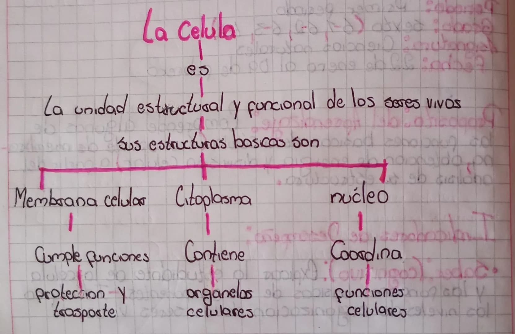 La Celula (6) ave
es
10901007909 ep CC 2
La unidad estructural y funcional de los seres vivos
sus estructuras basicas son ad open d
Membrana