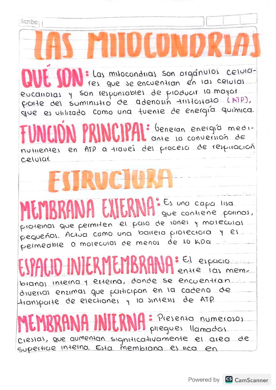 LAS MITOCONDRIAS