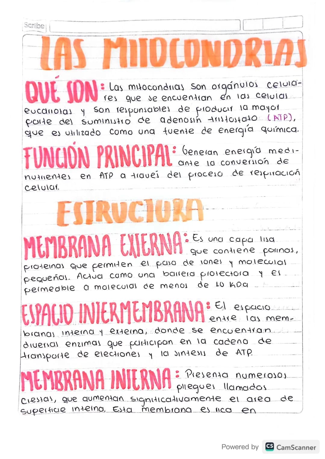 Scribe
LAS MITOCONDRIAS
QUE SON
: Las mitocondrias son orgánulos celula-
res que se encuentran en las celulas
eucariotas y Son responsables 