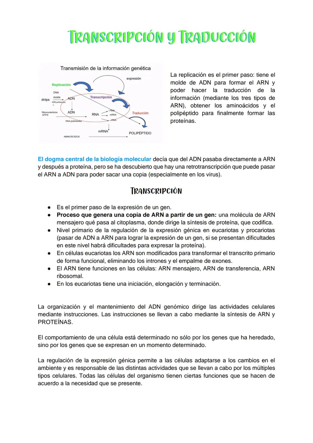 TRANSCRIPCIÓN Y TRADUCCIÓN
Transmisión de la información genética
Replicación
DNA
Transcripción
molde
ADN
dntps
Ribonucleotidos
NTPS
ADN
exp