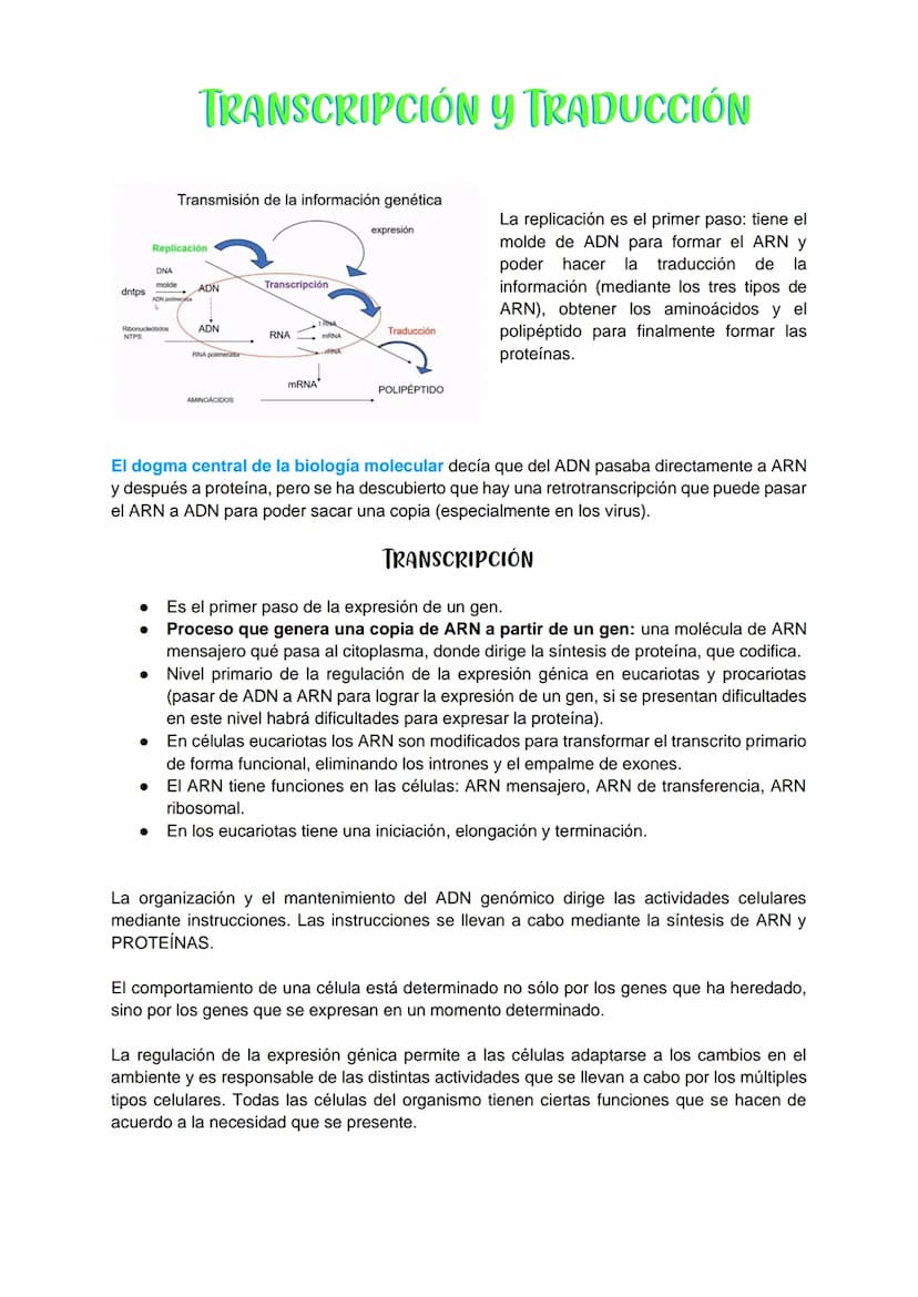 TRANSCRIPCIÓN Y TRADUCCIÓN
Transmisión de la información genética
Replicación
DNA
Transcripción
molde
ADN
dntps
Ribonucleotidos
NTPS
ADN
exp