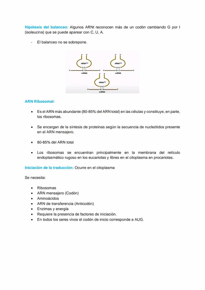 TRANSCRIPCIÓN Y TRADUCCIÓN
Transmisión de la información genética
Replicación
DNA
Transcripción
molde
ADN
dntps
Ribonucleotidos
NTPS
ADN
exp