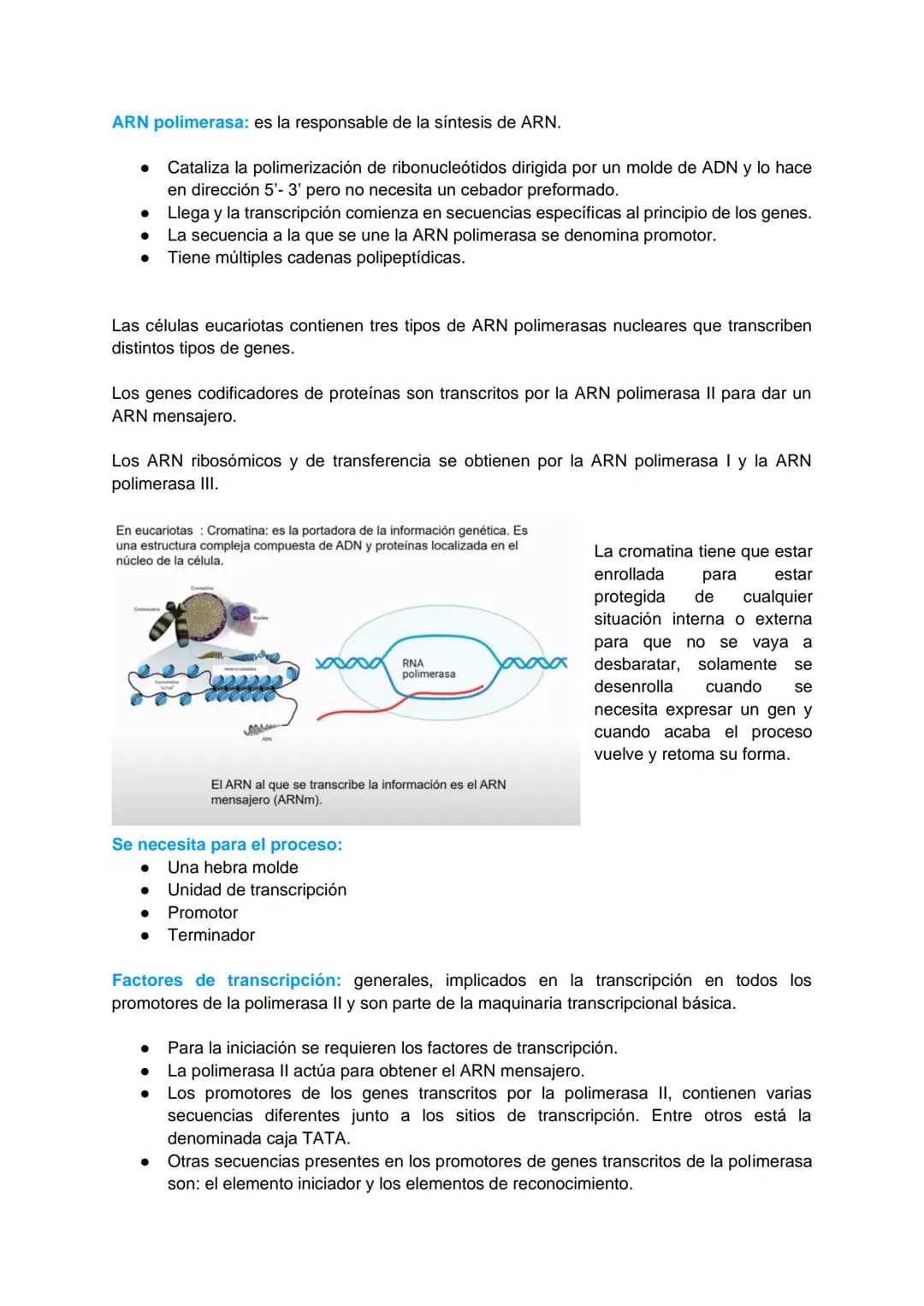 TRANSCRIPCIÓN Y TRADUCCIÓN
Transmisión de la información genética
Replicación
DNA
Transcripción
molde
ADN
dntps
Ribonucleotidos
NTPS
ADN
exp