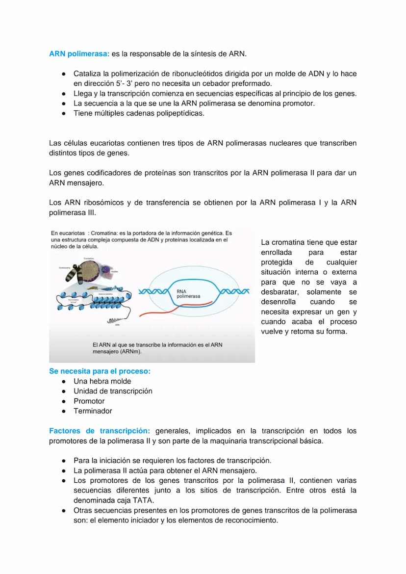 TRANSCRIPCIÓN Y TRADUCCIÓN
Transmisión de la información genética
Replicación
DNA
Transcripción
molde
ADN
dntps
Ribonucleotidos
NTPS
ADN
exp
