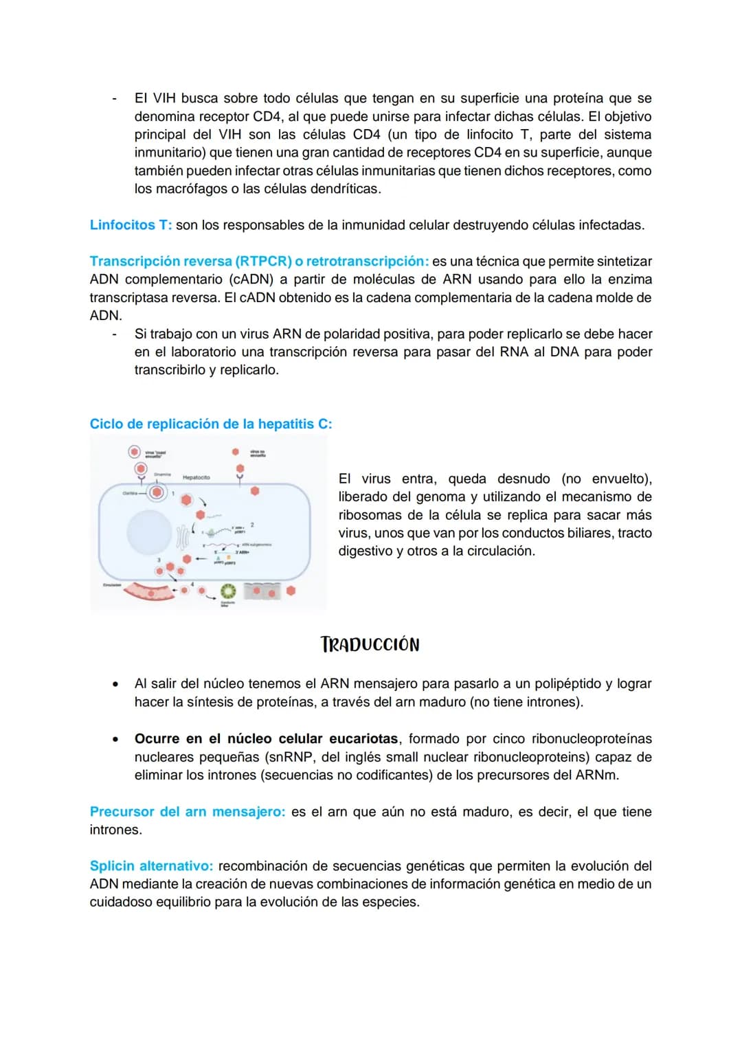 TRANSCRIPCIÓN Y TRADUCCIÓN
Transmisión de la información genética
Replicación
DNA
Transcripción
molde
ADN
dntps
Ribonucleotidos
NTPS
ADN
exp