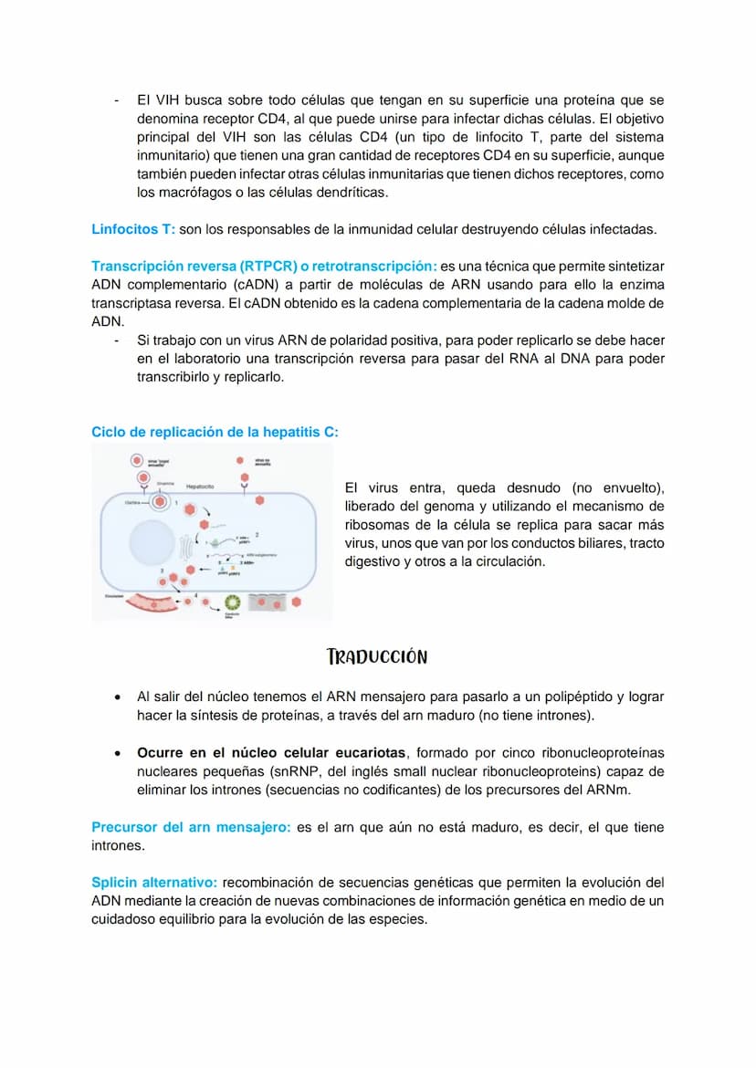 TRANSCRIPCIÓN Y TRADUCCIÓN
Transmisión de la información genética
Replicación
DNA
Transcripción
molde
ADN
dntps
Ribonucleotidos
NTPS
ADN
exp