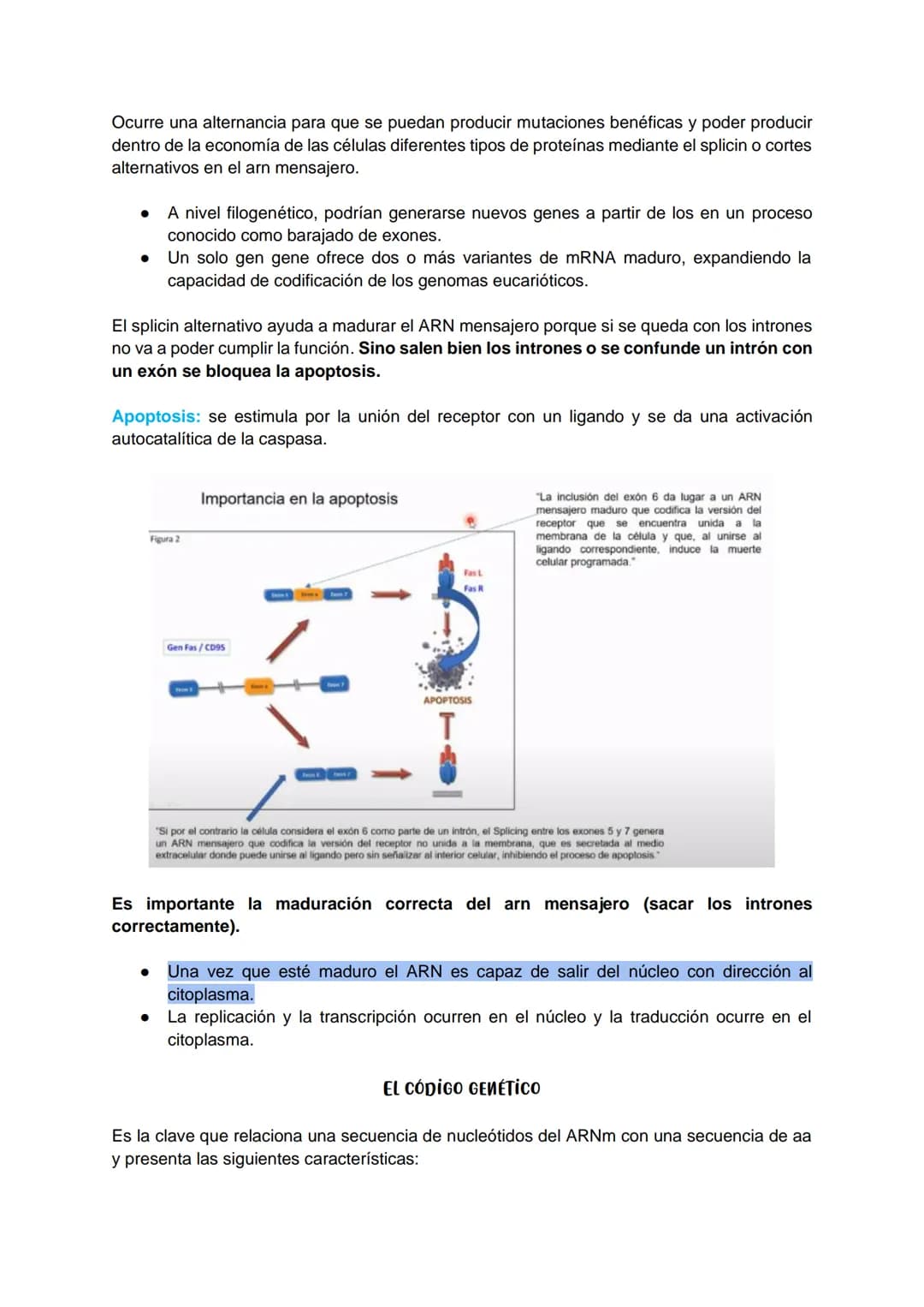 TRANSCRIPCIÓN Y TRADUCCIÓN
Transmisión de la información genética
Replicación
DNA
Transcripción
molde
ADN
dntps
Ribonucleotidos
NTPS
ADN
exp