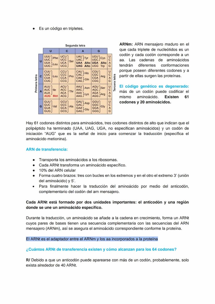 TRANSCRIPCIÓN Y TRADUCCIÓN
Transmisión de la información genética
Replicación
DNA
Transcripción
molde
ADN
dntps
Ribonucleotidos
NTPS
ADN
exp