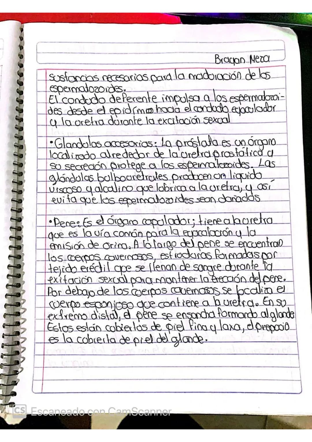 SISTEMA REPRODUCTOR Masculino.
Vejiga
Urinaria
Hoeso
pubis
Pene
Cuerpo
Cauermso
Glande
Prepacio
Brayan Meza
Colon Sigmoideo
Recto
O
Vesicula