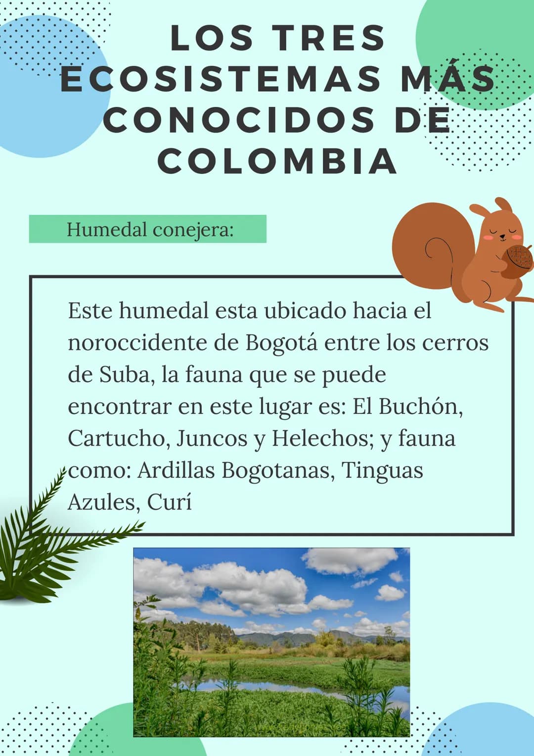 LOS ECOSISTEMAS
COLOMBIANOS
Mariana Romero
Geografía
2021
9°
+1540 ¿QUÉ SON LOS
ECOSISTEMAS?
Concepto:
Es un sistema biológico que se
encuen