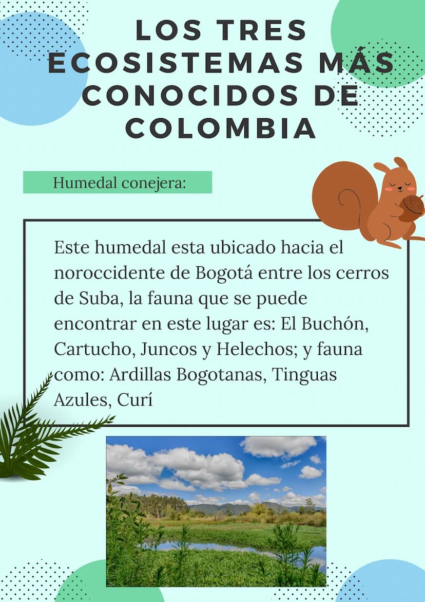 LOS ECOSISTEMAS
COLOMBIANOS
Mariana Romero
Geografía
2021
9°
+1540 ¿QUÉ SON LOS
ECOSISTEMAS?
Concepto:
Es un sistema biológico que se
encuen