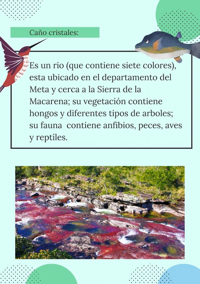 LOS ECOSISTEMAS
COLOMBIANOS
Mariana Romero
Geografía
2021
9°
+1540 ¿QUÉ SON LOS
ECOSISTEMAS?
Concepto:
Es un sistema biológico que se
encuen