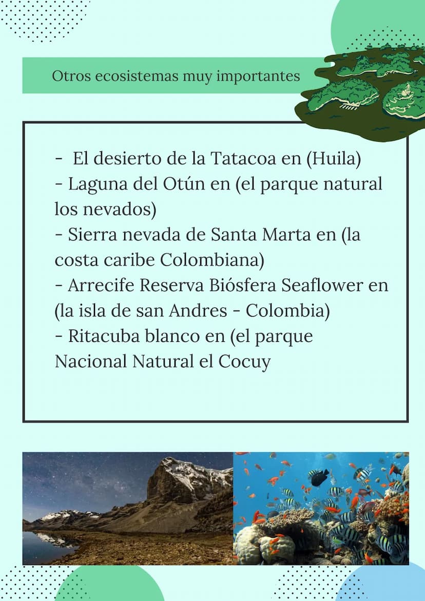LOS ECOSISTEMAS
COLOMBIANOS
Mariana Romero
Geografía
2021
9°
+1540 ¿QUÉ SON LOS
ECOSISTEMAS?
Concepto:
Es un sistema biológico que se
encuen