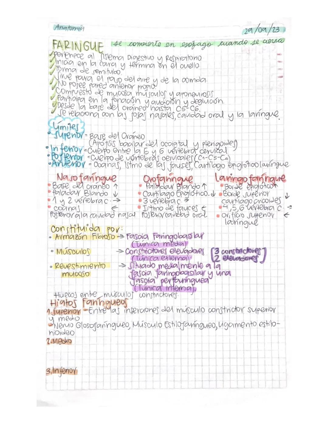 °
Anatomia
FARINGUE
29/09/23
se convierte en esofago cuando se cierra
pertenece al Sistema Digestivo y Respiratorio.
Vinica en la cara y ter