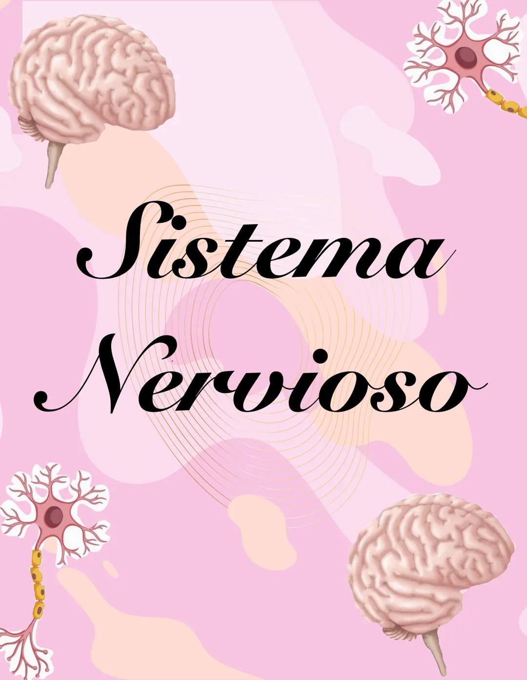 PARTES DE LAS NEURONAS Y TIPOS DE NERONAS