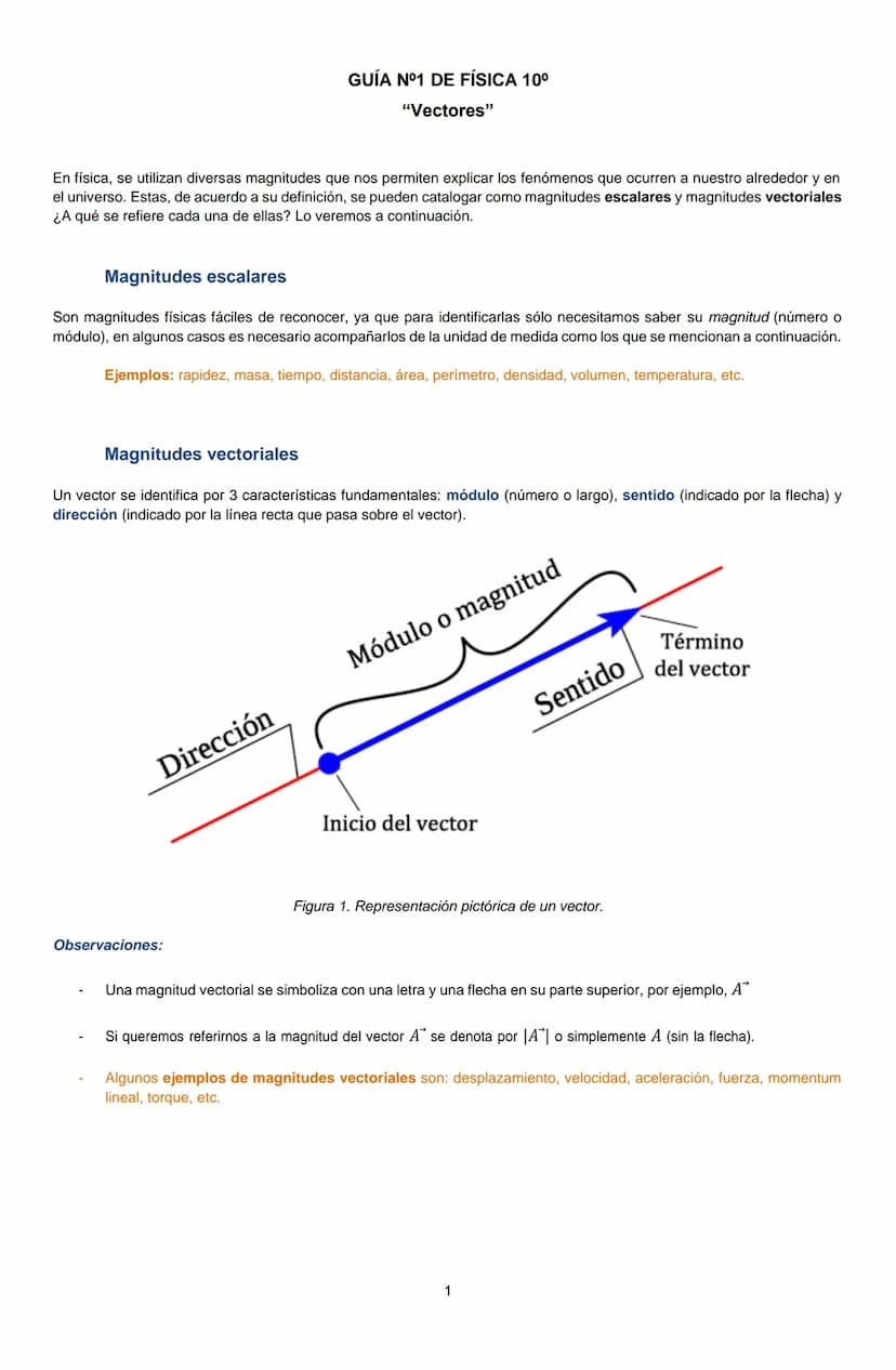 GUÍA Nº1 DE FÍSICA 10°
"Vectores"
En física, se utilizan diversas magnitudes que nos permiten explicar los fenómenos que ocurren a nuestro a