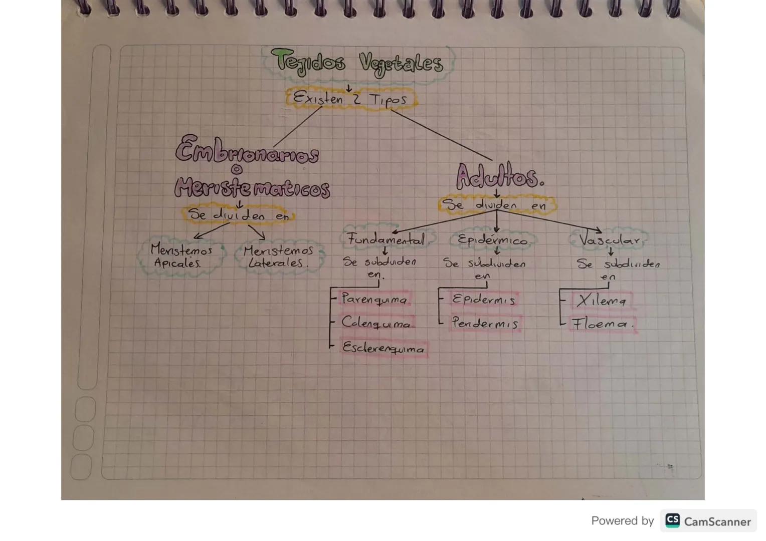 Tejidos Vegetales
Existen 2 Tipos
Embrionarios
Meristematicos
Se dividen en
Menstemos
Apicales
Meristemos
Laterales.
F
Fundamental
Se subdui