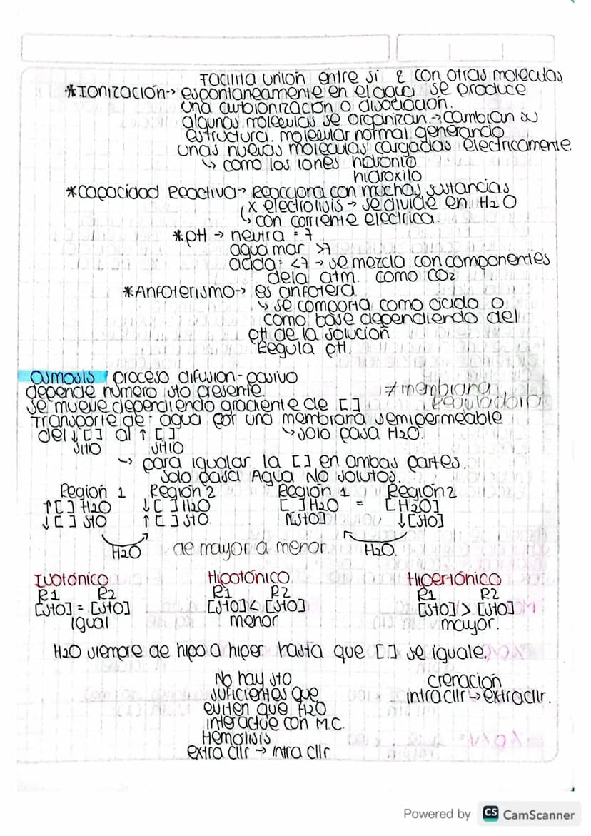 Teoria Atomica
Leucico & Democrito.
atomistas
400 aC.
Atomo
↓
ране.
Sin
Dalton 1800.
Atomos de un elemento tuon identicos.
Compuestos combin