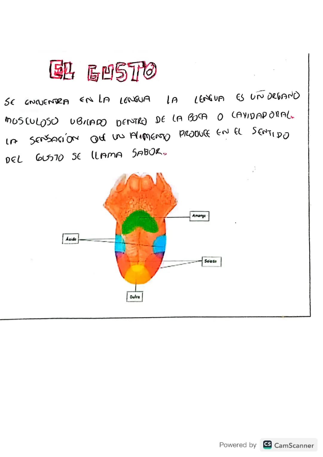 El Gusto