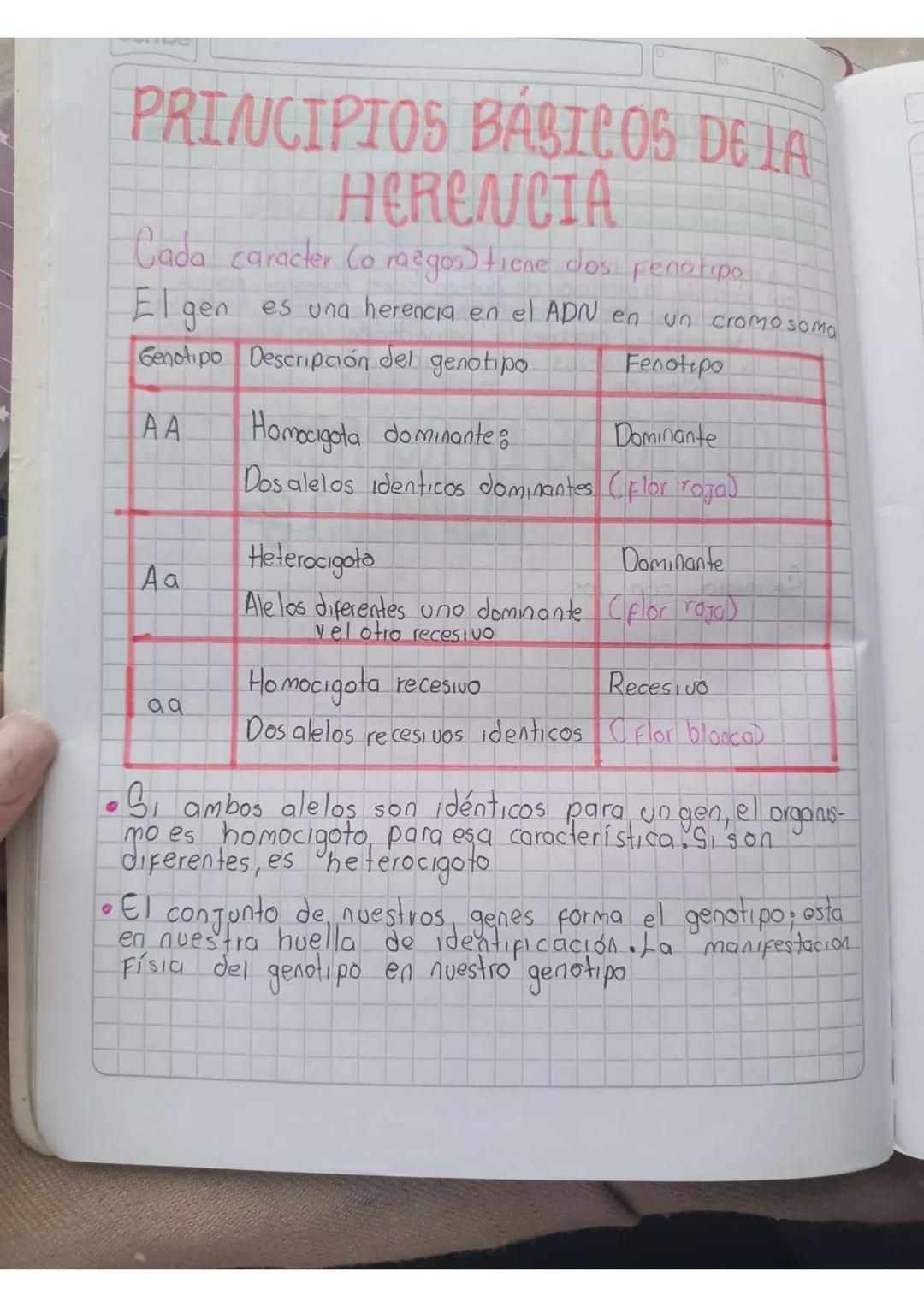 # PRINCIPIOS BÁSICOS DE LA
# HERENCIA
Cada caracter (o razgos) tiene dos fenotipo
El gen es una herencia en el ADN en un cromosomo
| Genotip